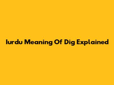 Iurdu Meaning Of Dig Explained