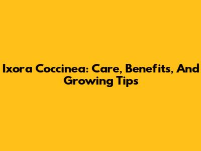 Ixora Coccinea: Care, Benefits, And Growing Tips