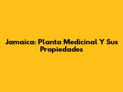 Jamaica: Planta Medicinal Y Sus Propiedades