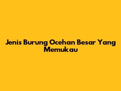 Jenis Burung Ocehan Besar Yang Memukau