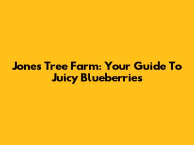 Jones Tree Farm: Your Guide To Juicy Blueberries
