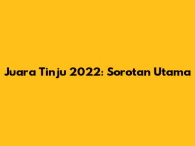 Juara Tinju 2022: Sorotan Utama