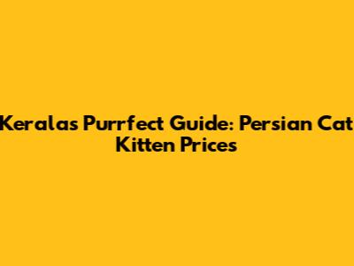 Kerala's Purrfect Guide: Persian Cat Kitten Prices
