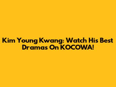 Kim Young Kwang: Watch His Best Dramas On KOCOWA!