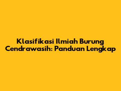 Klasifikasi Ilmiah Burung Cendrawasih: Panduan Lengkap