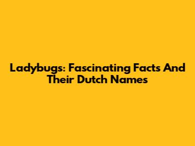 Ladybugs: Fascinating Facts And Their Dutch Names