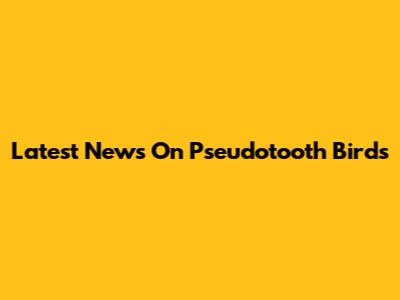 Latest News On Pseudotooth Birds