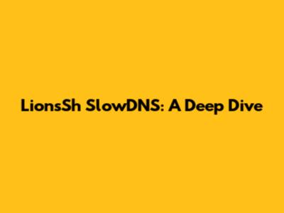 LionsSh SlowDNS: A Deep Dive