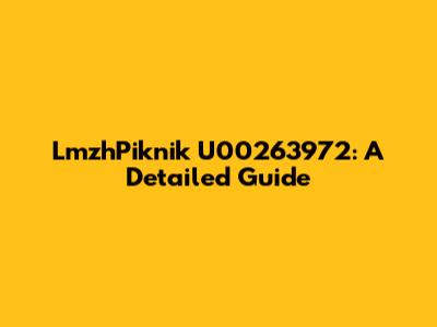 LmzhPiknik U00263972: A Detailed Guide