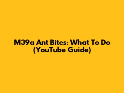 M39a Ant Bites: What To Do (YouTube Guide)