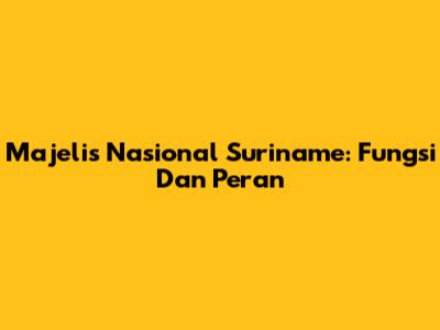 Majelis Nasional Suriname: Fungsi Dan Peran