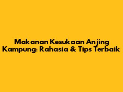 Makanan Kesukaan Anjing Kampung: Rahasia & Tips Terbaik