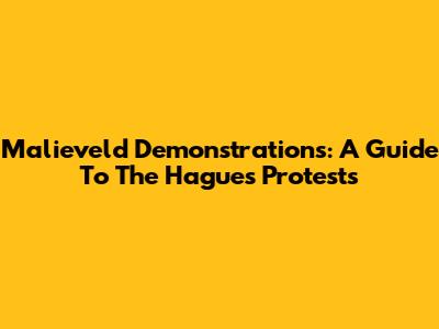 Malieveld Demonstrations: A Guide To The Hague's Protests