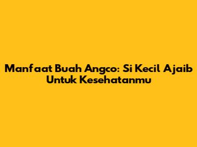 Manfaat Buah Angco: Si Kecil Ajaib Untuk Kesehatanmu