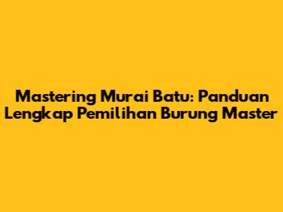 Mastering Murai Batu: Panduan Lengkap Pemilihan Burung Master