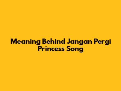 Meaning Behind 'Jangan Pergi Princess' Song