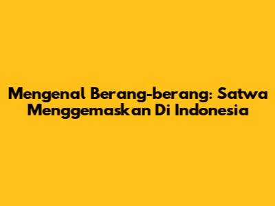 Mengenal Berang-berang: Satwa Menggemaskan Di Indonesia
