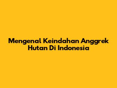 Mengenal Keindahan Anggrek Hutan Di Indonesia