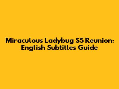 Miraculous Ladybug S5 Reunion: English Subtitles Guide