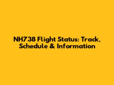 NH738 Flight Status: Track, Schedule & Information