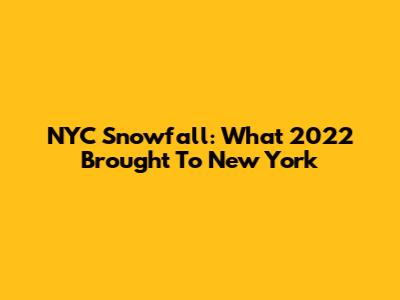 NYC Snowfall: What 2022 Brought To New York