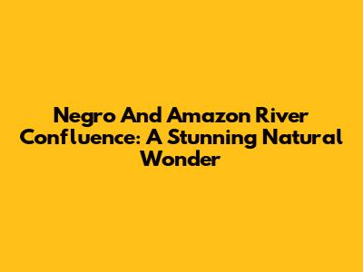 Negro And Amazon River Confluence: A Stunning Natural Wonder