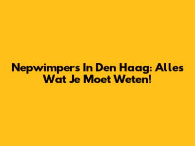 Nepwimpers In Den Haag: Alles Wat Je Moet Weten!