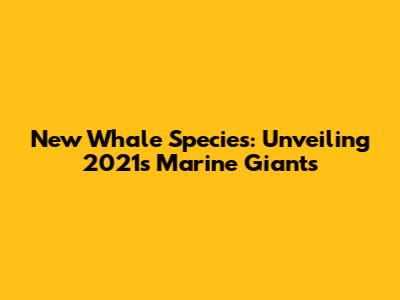 New Whale Species: Unveiling 2021's Marine Giants