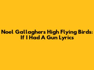 Noel Gallagher's High Flying Birds: If I Had A Gun Lyrics