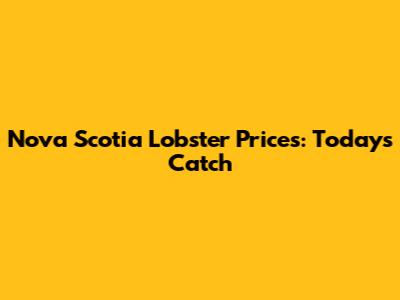 Nova Scotia Lobster Prices: Today's Catch