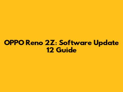 OPPO Reno 2Z: Software Update 12 Guide