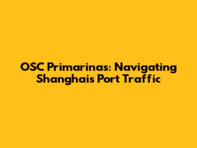 OSC Primarinas: Navigating Shanghai's Port Traffic