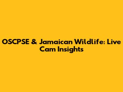 OSCPSE & Jamaican Wildlife: Live Cam Insights