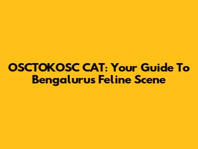OSCTOKOSC CAT: Your Guide To Bengaluru's Feline Scene