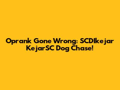 Oprank Gone Wrong: SCDIkejar KejarSC Dog Chase!