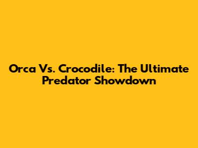Orca Vs. Crocodile: The Ultimate Predator Showdown