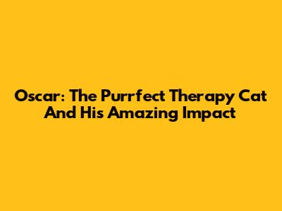 Oscar: The Purrfect Therapy Cat And His Amazing Impact