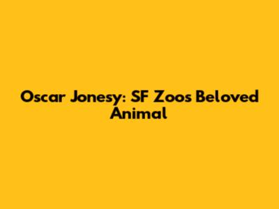 Oscar Jonesy: SF Zoo's Beloved Animal