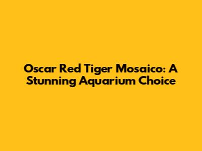 Oscar Red Tiger Mosaico: A Stunning Aquarium Choice
