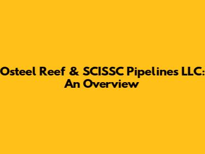 Osteel Reef & SCISSC Pipelines LLC: An Overview