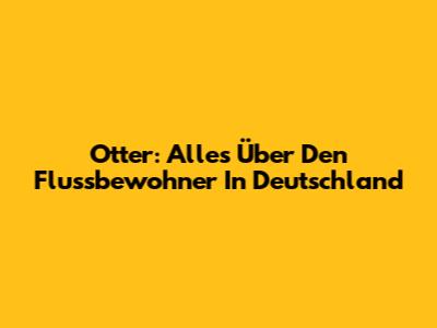 Otter: Alles Über Den Flussbewohner In Deutschland