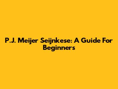 P.J. Meijer Seijnkese: A Guide For Beginners