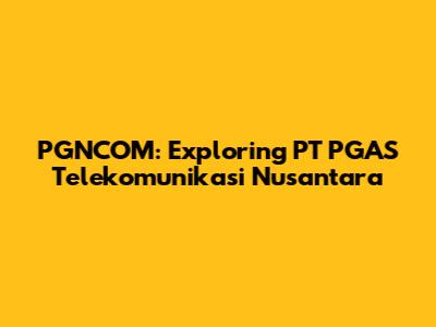 PGNCOM: Exploring PT PGAS Telekomunikasi Nusantara
