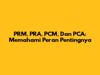 PRM, PRA, PCM, Dan PCA: Memahami Peran Pentingnya
