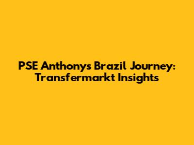 PSE Anthony's Brazil Journey: Transfermarkt Insights