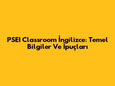 PSEI Classroom İngilizce: Temel Bilgiler Ve İpuçları