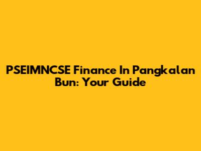 PSEIMNCSE Finance In Pangkalan Bun: Your Guide