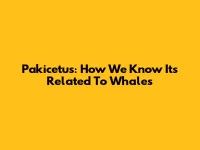 Pakicetus: How We Know It's Related To Whales