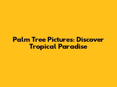 Palm Tree Pictures: Discover Tropical Paradise