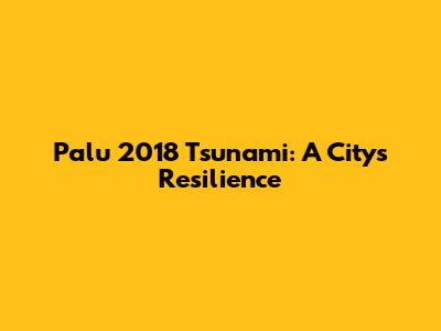 Palu 2018 Tsunami: A City's Resilience
